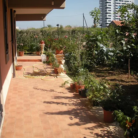 Flores 罗马