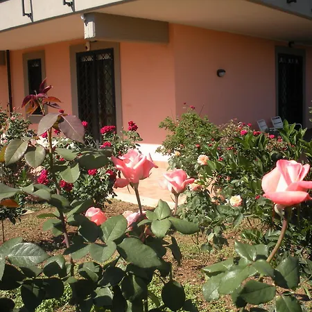 Flores Roma